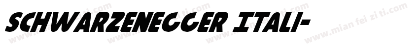 Schwarzenegger Itali字体转换